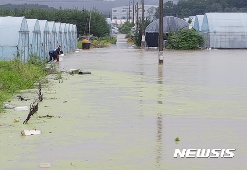 【청주=뉴시스】인진연 기자 = 16일 내린 집중호우에 충북 청주시 흥덕구 옥산면 비닐하우스가 침수됐다. 2017.07.16. inphoto@newsis.com