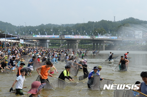 지난해 7월 경북 봉화군 내성천 일원에서 열린 '봉화은어축제' 중 반도잡이 행사에 참가한 관광객들이 은어를 잡기 위해 내성천으로 뛰어들고 있다. (사진= 봉화군 제공)