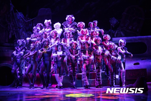 [서울=뉴시스] 뮤지컬 '캣츠'. 2020.05.16. (사진=설앤컴퍼니 제공) photo@newsis.com 