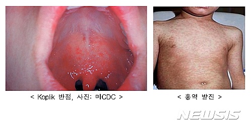 【세종=뉴시스】