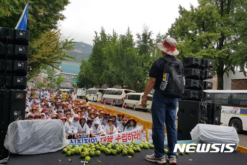 【영주=뉴시스】김진호 기자 =24일 청와대 앞에서 열린 '우박피해 대책촉구 전국대회'에서 경북 영주와 봉화, 전남 순천지역 우박피해 농민들이 '실질적인 대책'을 요구하는 집회를 열고 있다.  단상 위에 우박피해를 입은 사과가 놓여 있다. 2017.07.24 (사진= 영주시 제공) photo@newsis.com