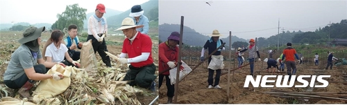 【괴산=뉴시스】이성기 기자 = 24일 오후 자유한국당 충북 동남4군 당원협의회(위원장 박덕흠 국회의원) 소속 당원(오른쪽)과 국회 '포용과 도전' 모임 소속 나경원·유민봉·송희경·김선동 의원 등이 괴산군 청천면을 찾아 수해복구 봉사활동을 펼치고 있다.2017.07.24(사진=박덕흠 의원실 제공)  sklee@newsis.com  