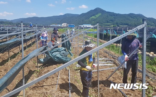 【충주=뉴시스】자연재해 피해 복구 현장 모습. (사진=뉴시스 DB) photo@newsis.com