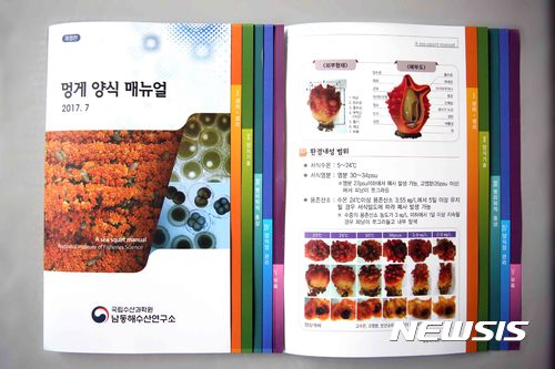 【부산=뉴시스】 하경민 기자 = 국립수산과학원은 그동안 개발된 멍게 양식기술과 여름철 고수온기에 대비한 멍게양식 관리를 위한 '멍게양식 매뉴얼'을 발간·배포한다고 31일 밝혔다. 2017.07.31. (사진=수산과학원 제공)yulnetphoto@newsis.com