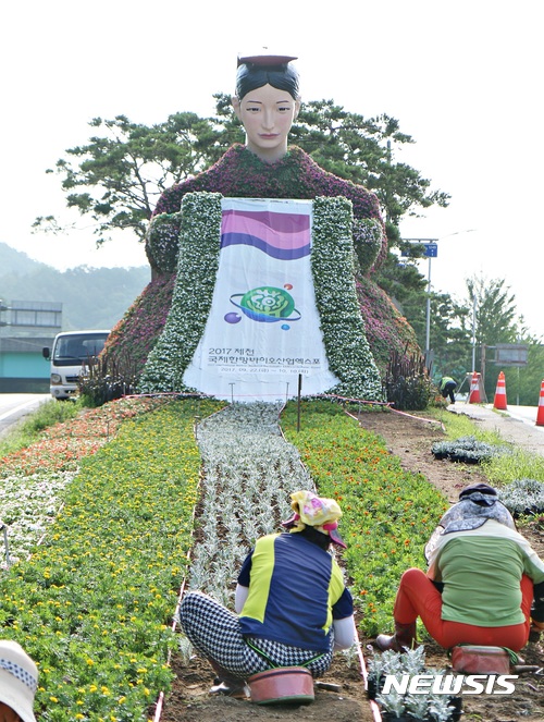 【제천=뉴시스】강신욱 기자 = 2017 제천국제한방바이오산업엑스포 개막을 51일 앞둔 2일 충북 제천시 관문인 신동교차로에 '의녀 금봉'의 한방 캐릭터를 형상화한 꽃 조형물과 함께 야생화 꽃밭 조성으로 엑스포 분위기가 달아오르고 있다. 2017.08.02. ksw64@newsis.com 