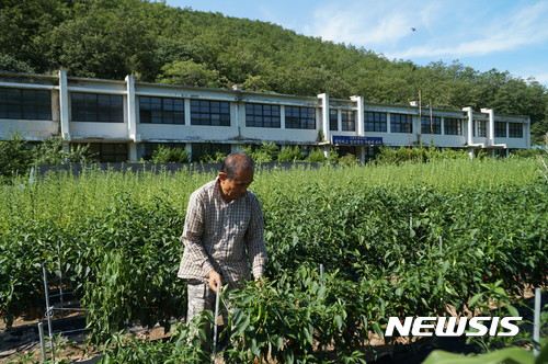 【안동=뉴시스】류상현 기자 = 학교 통폐합에 따라 밭으로 변한 의성군 신평면 신평중학교. 2007년 폐교된 이 학교는 한 때 학생수가 250여 명에 달했다. 2018.03.29 (뉴시스 DB) photo@newsis.com 