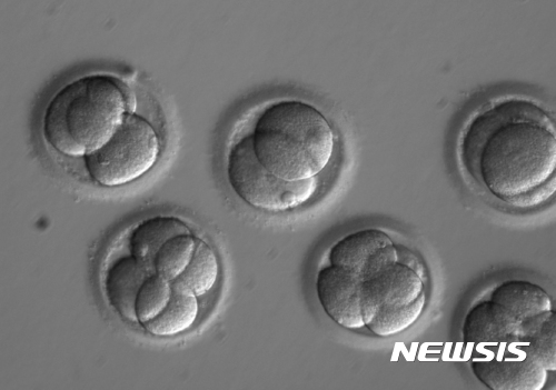 韓美 연구진 '유전자 변이 교정 성공'에 전 세계 극찬···'획기적·신기원 이정표"