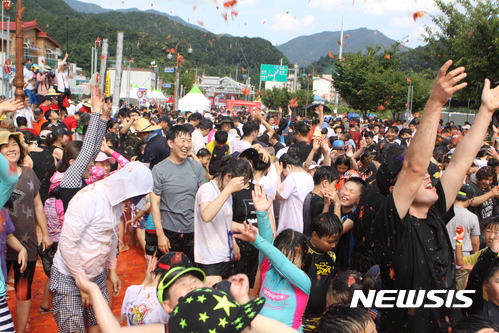 【화천=뉴시스】한윤식 기자 = 전국이 폭염특보 속에 불볕더위가 이어지는 4일 강원 화천군 토마토축제장을 찾은 많은 관광객들이 황금반지를 찾으며 즐거운 시간을 보내고 있다. 2017.08.04. ysh@newsis.com