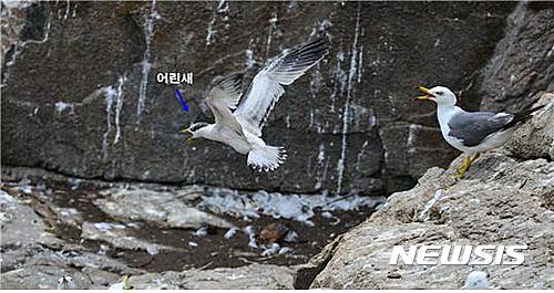 【세종=뉴시스】