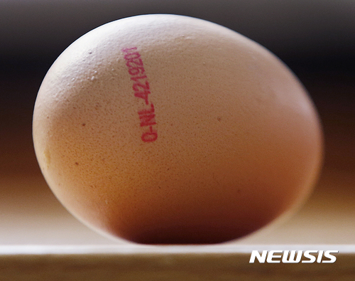 EU "벨기에 '살충제 계란' 발견하고도 한달 지나서 통보"