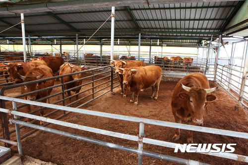 【장수=뉴시스】유영수 기자 = 장수군은 가축분뇨로 인한 악취 민원을 해소하기 위해 관련 시설 12곳에 대해 오는 18일까지 특별점검을 실시한다고 8일 밝혔다. 2017.08.08.(사진=장수군 제공) photo@newsis.com