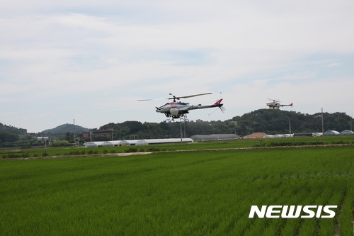 【안동=뉴시스】류상현 기자 = 지난 8월 안동의 벼 정부보급종 생산포장에서 무인헬기 병해충 119방제단이 벼 키다리병 방제작업을 하고 있다. 2017.08.08 (사진=경북도 제공) photo@newsis.com