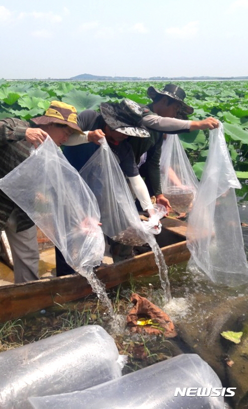 전북 부안 관내 저수지에 붕어 5만5000마리, 쏘가리 1만마리를 방류하는 모습(뉴시스 DB)