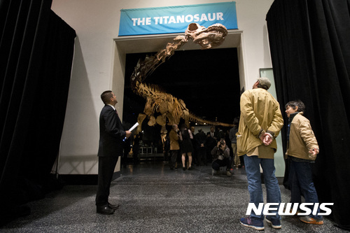 【뉴욕=AP/뉴시스】2016년 1월14일 미 뉴욕 자연사박물관을 찾은 관람객들이 몸길이 37m에 달하는 거대한 공룡의 복제품 전시물을 둘러보고 있다. 파타고티탄 마요룸이라는 이 거대 공룡은 몸무게가 69∼76t에 달해 우주완복선과 비슷했으며 이에 비하면 최강의 육식 공룡으로 알려진 티라노사우루스 렉스는 난장이처럼 하찮아 보일 것이라는 연구 결과가 새로 발표됐다. 2017.8.9