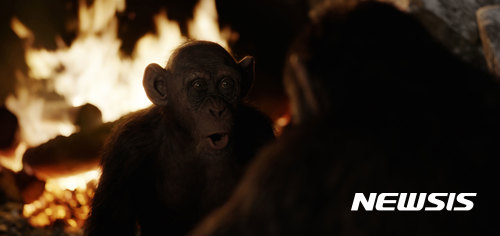 [손정빈의 클로즈업 Film]비극 블록버스터···'혹성탈출:종의 전쟁'