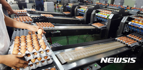 국민의당 "살충제 계란, 예견된 인재···근본해결책 마련해야"