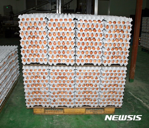 【철원=뉴시스】고성호 기자 = 17일 오전 살충제가 검출된 강원 철원군 동송읍의 일반 산란계 농장 창고에 출하되지 못한 계란들이 수북이 쌓여있다. 2017.08.17 godex8802@newsis.com