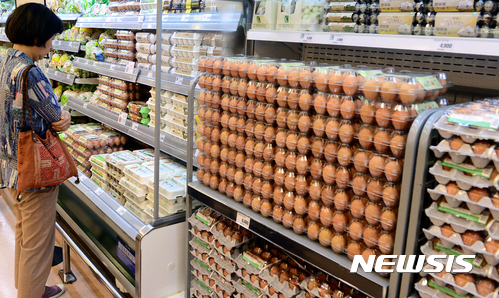 【서울=뉴시스】이종철 기자 = 17일 서울 중구 롯데마트 서울역점에서 소비자가 안심 계란 판매 안내판 앞에서 계란을 살펴보고 있다. 2017.08.17. jc4321@newsis.com