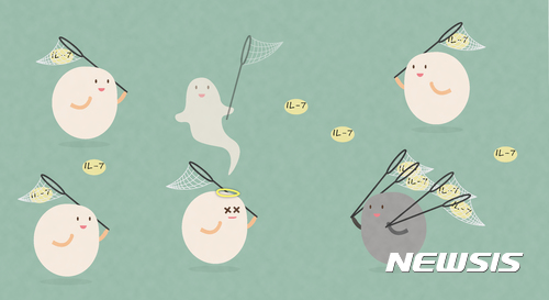 【대전=뉴시스】 선천성 림프 세포(회색)와 희소성에도 불구하고 IL-7과 결합에도 IL-7 수용체의 발현(잠자리채가 많은 상태로 묘사)이 높게 유지돼 수가 많은 T세포(미색)에 대해서도 경쟁 우위를 갖게 된다. (사진=IBS 제공)