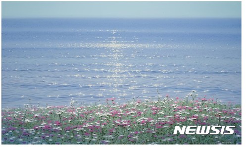 【서울=뉴시스】안광식, Nature-Memory 162.0X97cm oil on canvas 2015