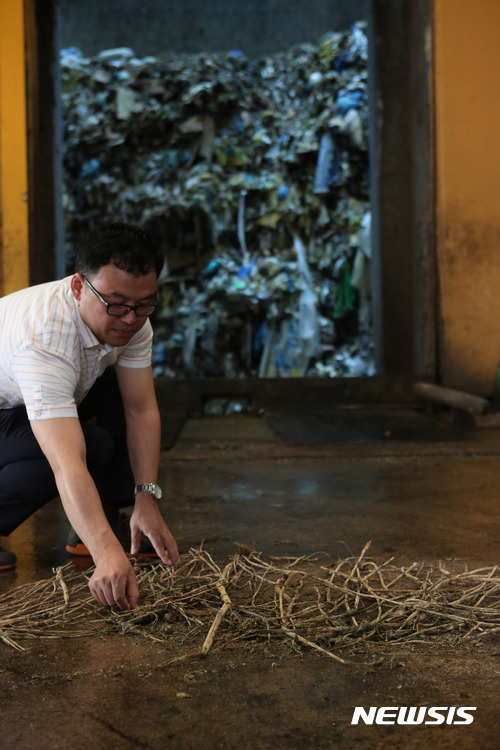 【안양=뉴시스】 장태영 기자 = 31일 오후 경기 안양시 만안구보건소 직원이 경찰이 몰수한 마약류인 대마 108주를 소각처리 하기 위해 안양시자원회수시설을 찾았다. 폐기 처분에 앞서 대마 수를 세고 있다. 2017.08.31.&nbsp; jty1414@newsis.com