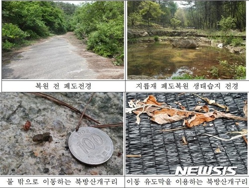 【제천=뉴시스】지릅재 폐도복원 생태습지. (사진=월악산국립공원사무소 제공) photo@newsis.com