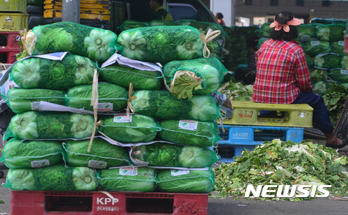 【서울=뉴시스】고승민 기자 = 추석을 한달여 앞두고 소비자, 밥상 물가가 요동치고 있어 소비심리가 위축될 것이란 전망에 정부, 판매자, 소비자의 고민이 깊어지고 있다. 9월 물가가 다소 하락할 것이란 전망 속 국제유가 변동과 기후 불안이 상존하는 탓이다.지난 1일 통계청이 발표한 소비자물가동향에 따르면 8월 소비자물가는 1년 전보다 2.6% 상승했다. 2012년 4월 2.6% 이후 5년 4개월만에 최대 폭 상승이다. 물가 상승에 가장 큰 영향을 미친 것은 채소류를 중심으로 한 농·축·수산물 가격 상승이다. 1년 전보다 12.2% 올라 전체 물가를 0.96%포인트 밀어올렸다. 채소류는 1년 전보다 22.5%나 올랐고, 수산물과 축산물도 각각 8.6%, 6.0% 상승했다. 정부는 물가를 잡기 위해 추석 전 비축물량을 풀고 이달 중 '추석 민생안정대책'도 내놓기로 했다. (사진은 4일 오전 서울 송파구 가락공판장 모습) 2017.09.04. kkssmm99@newsis.com