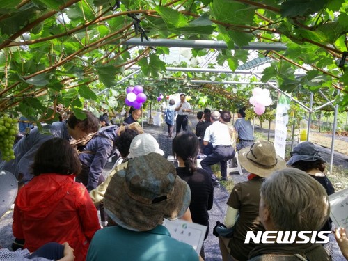 【안동=뉴시스】류상현 기자 = 경산 지심농원에 도시민들이 찾아와 팜파티를 즐기고 있다. 2017.09.10 (사진=경북도 제공)  photo@newsis.com 