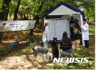 서울 반려견 3마리 중 1마리꼴 광견병 항체 없어