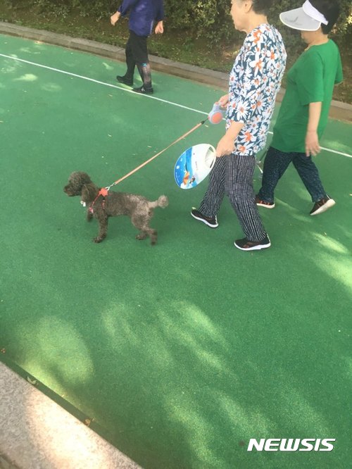 【서울=뉴시스】위용성 기자 = 14일 서울시 양천구 한 공원에서 시민들이 반려동물과 함께 산책을 하고 있다. 최근 반려동물의 목줄 미착용으로 잇딴 사고가 발생했다.2017.09.14. up@newsis.com