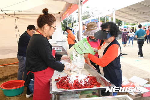 【문경=뉴시스】김진호 기자 = 15일 경북 문경시 동로면에서 열린 '문경오미자축제'에서 방문객들이 '오미자청 담그기 체험'을 하고 있다. 2017.09.16 (사진= 문경시 제공) photo@newsis.com