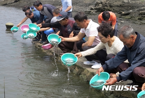 '바다 없는 충북' 내수면 고급 어종 어획량 전국 1위