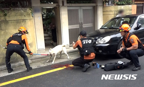 【부산=뉴시스】 하경민 기자 = 19일 부산 남구의 한 주택에서 낡은 목줄이 끊어지면서 진돗개 1마리가 주인 등 3명에게 달려들어 무는 사고가 났다. 사진은 신고를 받고 출동한 119구조대가 진돗개를 포획하는 모습. 2017.09.19. (사진=부산소방본부 제공) yulnetphoto@newsis.com