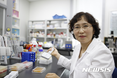 "당뇨·비만에 효과"···세 가지 맛 '삼채' 고소득 작물로