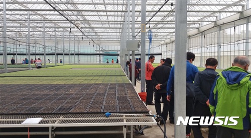 photo@newsis.com【충주=뉴시스】충주친환경채소단지. (사진=충주시 제공) 