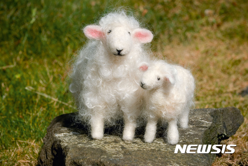[원추 오늘의운세]양띠, 벼랑 끝으로 가는 무리 따라갈 필요 있나 