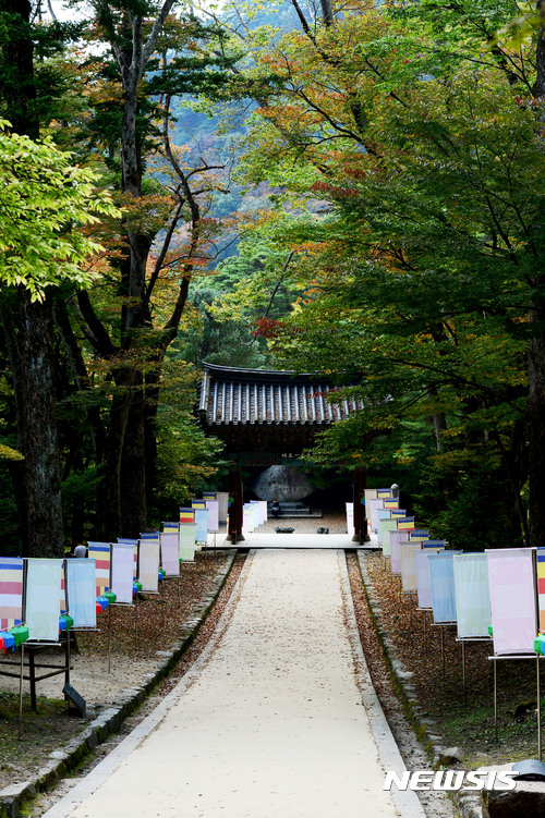 【합천=뉴시스】차용현 기자 = 길고 긴 추석연휴가 끝난 10일 오후 경남 합천군 해인사 경내에는 오색빛깔 단풍이 물들며 가을이 성큼 다가와 있다. 2017.10.10. con@newsis.com