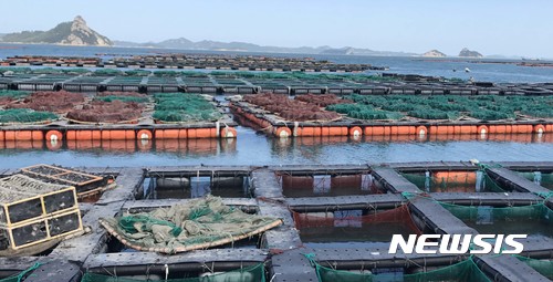 바다 산삼 '전복' 가격 급락...양식 어민 '울상'