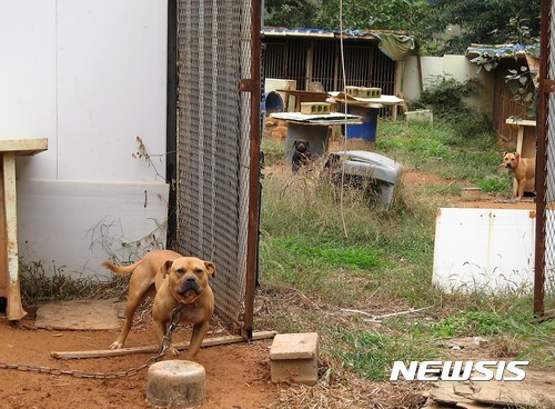 개 사육시설 5개중 1개 미신고 운영···분뇨관리 헛점&nbsp; 