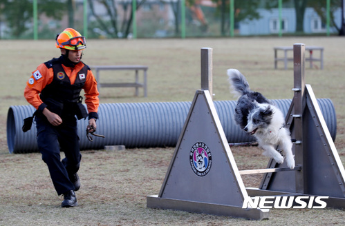 올해 최고 인명구조견 뽑는다…119구조본부, 경진대회