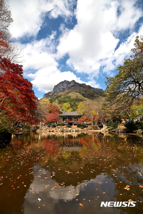 애기단풍으로 물들어가는 장성 백양사 쌍계루. (사진=장성군 제공) photo@newsis.com 