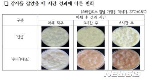 농진청, 감자 변색현장 줄인 '신선' 품종 개발