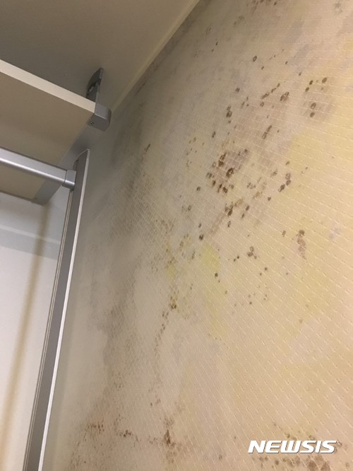 [남양주=뉴시스] 누수로 인해 곰팡이가 핀 벽면. 2017.10.18. (사진=독자 제공) photo@newsis.com