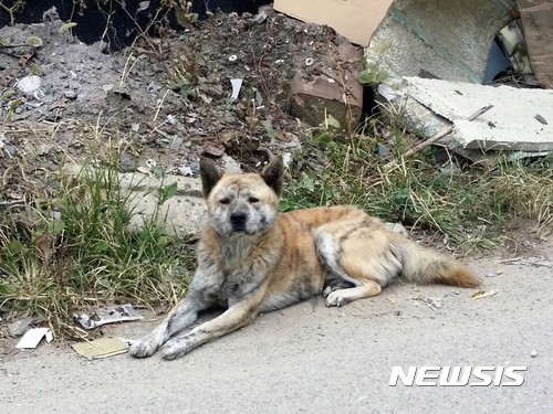 기사와 관련없는 사진(뉴시스 DB)