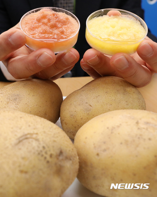 【세종=뉴시스】강종민 기자 = 구본철 농촌진흥청 고령지농업연구소장이 18일 오전 정부세종청사에서 껍질을 깍아놓았을 때 표면색이 쉽게 갈변하지 않는 감자인 '신선'을 개발했다고 밝히고 있다. 왼쪽 일반 감자에 비해 오른쪽 신선은 갈변이 느리게 진행되고 있다. 2017.10.18. ppkjm@newsis.com