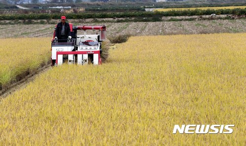농부가 콤바인을 이용해 벼 수확을 하고 있다. 뉴시스 사진 자료