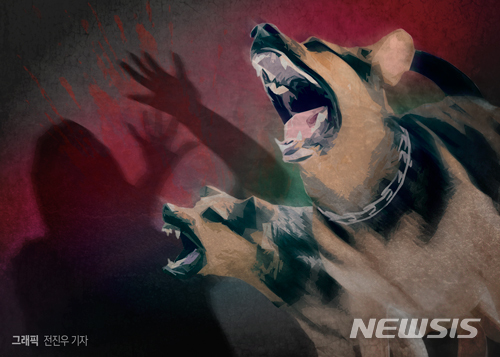 행인 물어 중상 입힌 핏불테리어 견주 항소심도 실형