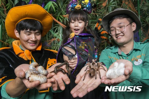 【용인=뉴시스】 이승호 기자 = 에버랜드는 31일 '핼러윈 데이'를 맞아 다양한 체험 코스를 마련했다고 23일 밝혔다. '핼러윈 거미·곤충 특별전'에서 사육사들이 거미 등을 관객들에게 선보이고 있다.2017.10.23.(사진 = 에버랜드 제공)  photo@newsis.com