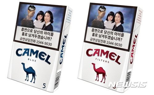 JTI 코리아, 세계적 브랜드 '카멜(Camel)' 모던 라인 출시 