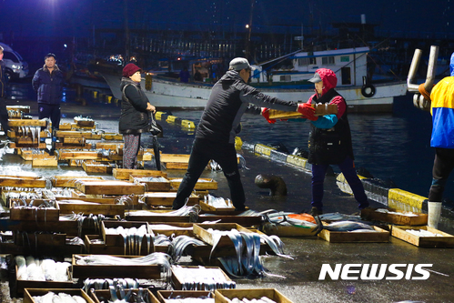 【서울=뉴시스】제주 성산포항 새벽 어시장. (사진=제주관광공사 제공)